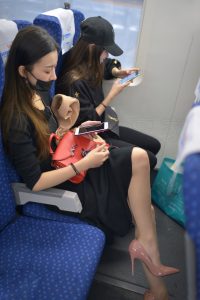 在高铁上偶遇戴口罩的美女 睡觉的时候把高跟鞋脱了露出丝脚